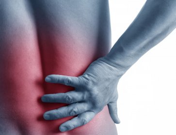 7 Lower Back Exercises to Reduce Pain and Build Strength